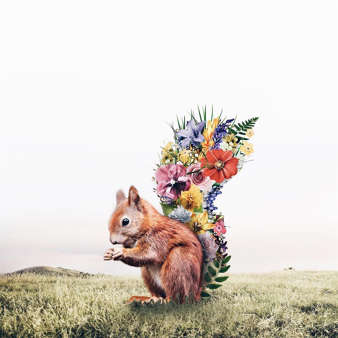 best surreal manipulation
