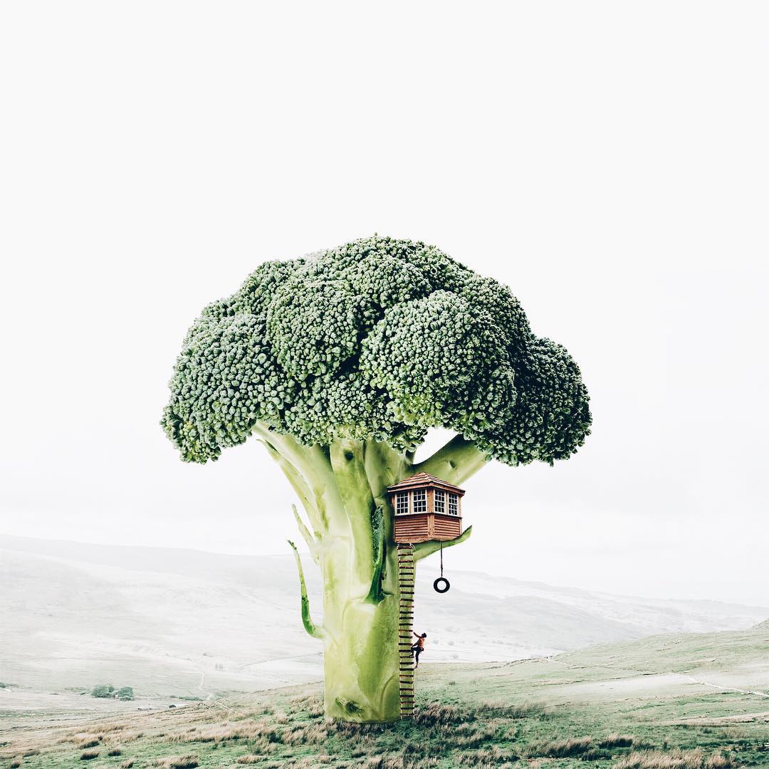 best surreal photos