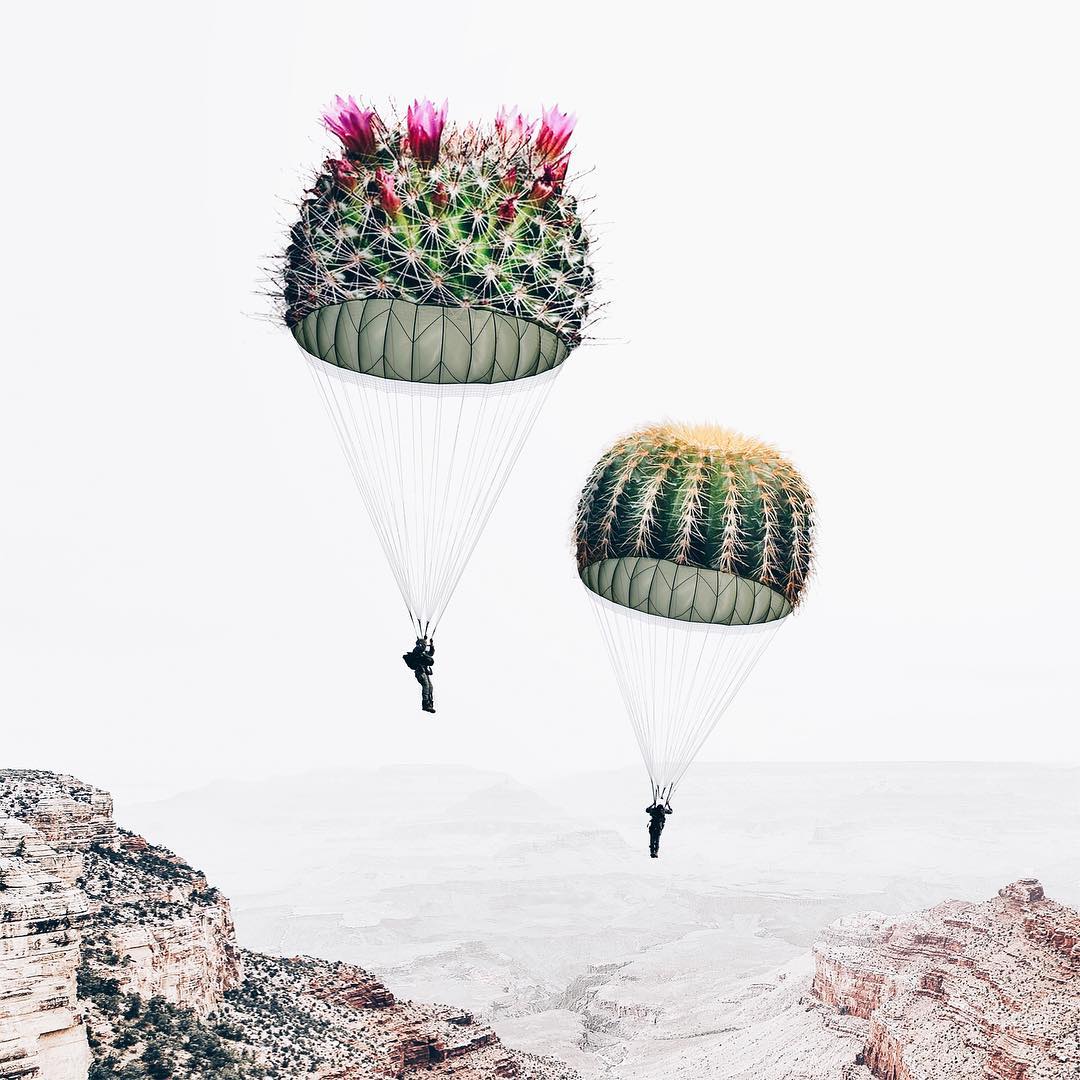 best surreal pictures
