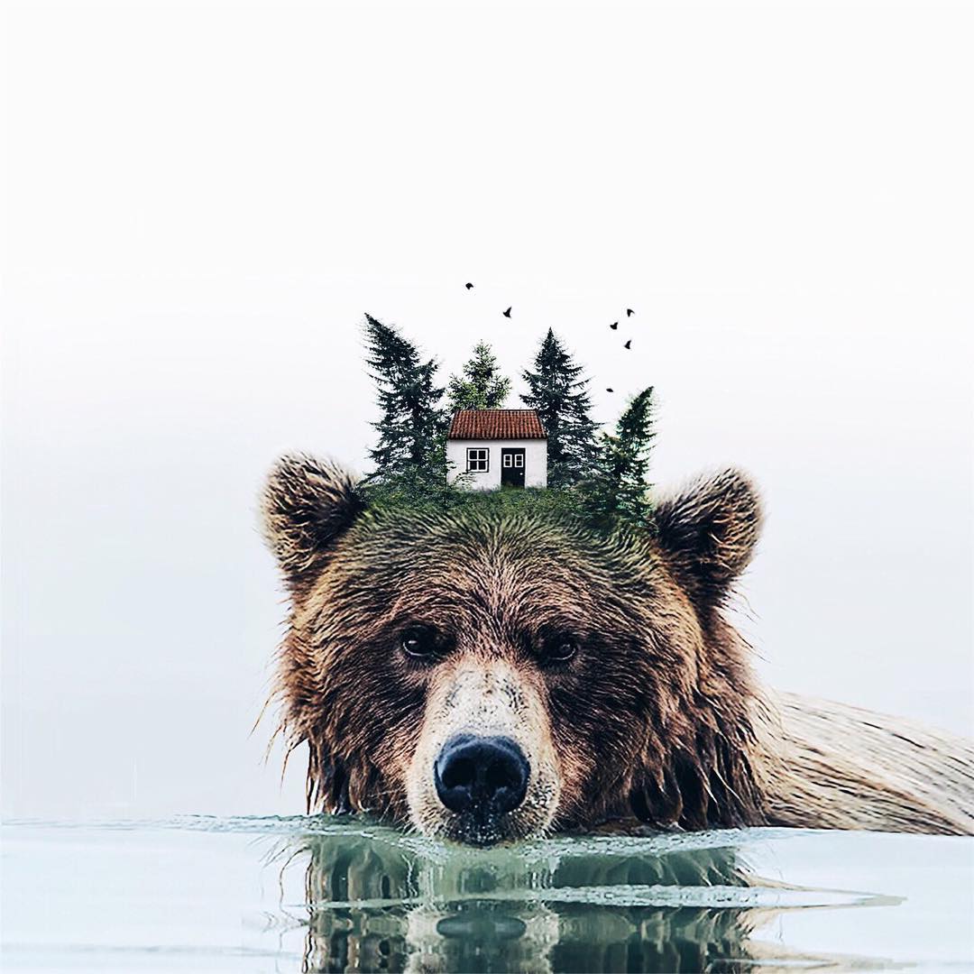 photo manipulation