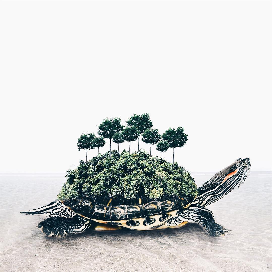 surreal photos