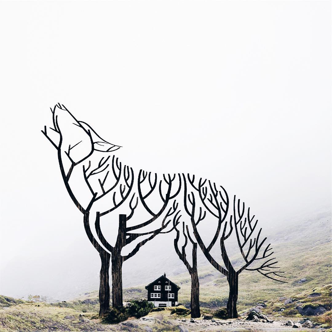 surreal pics