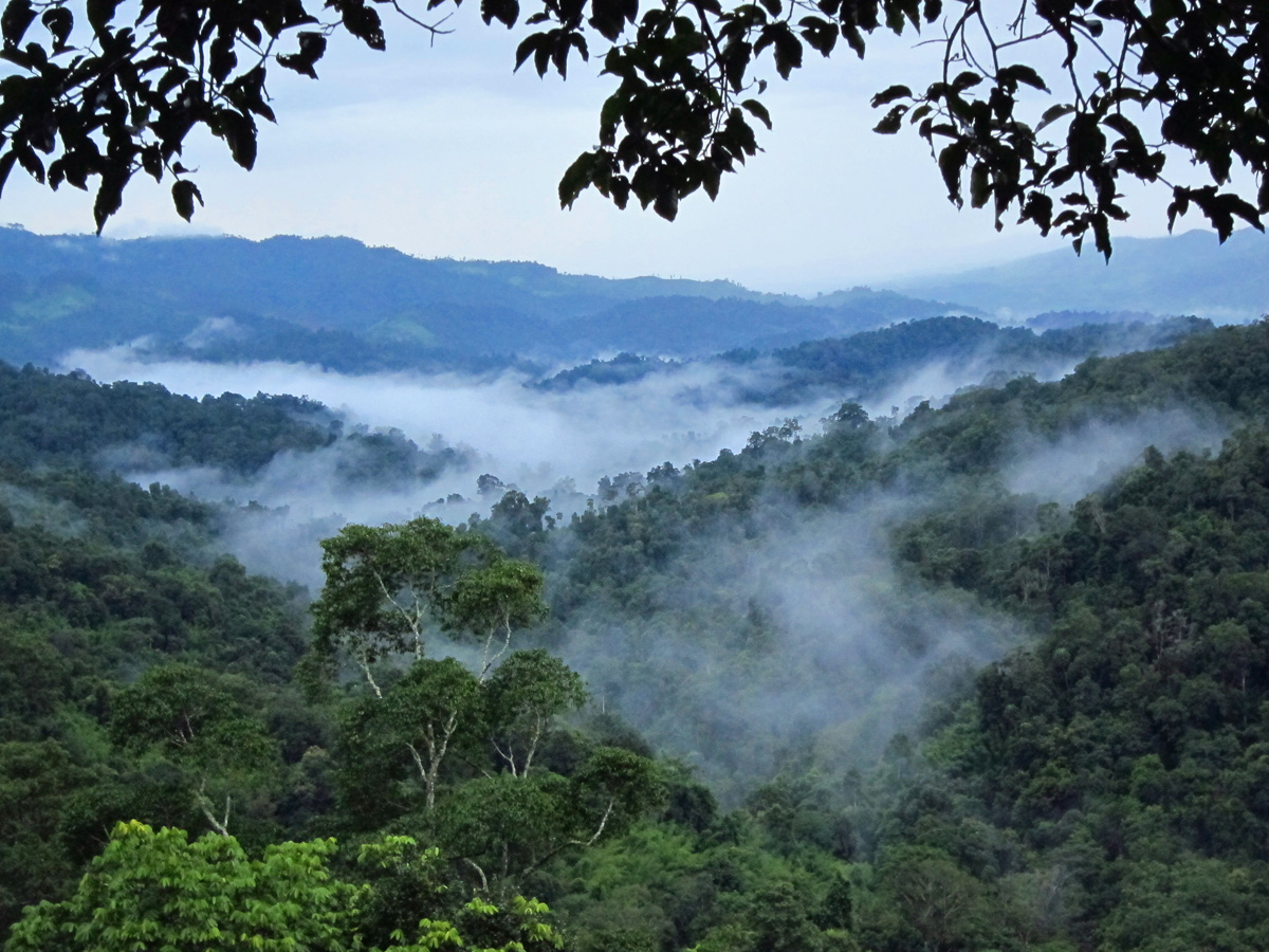 Bokeo Nature Reserve, Laos