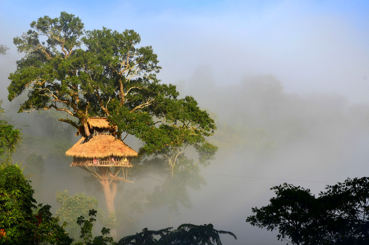 Bokeo Nature Reserve, Laos