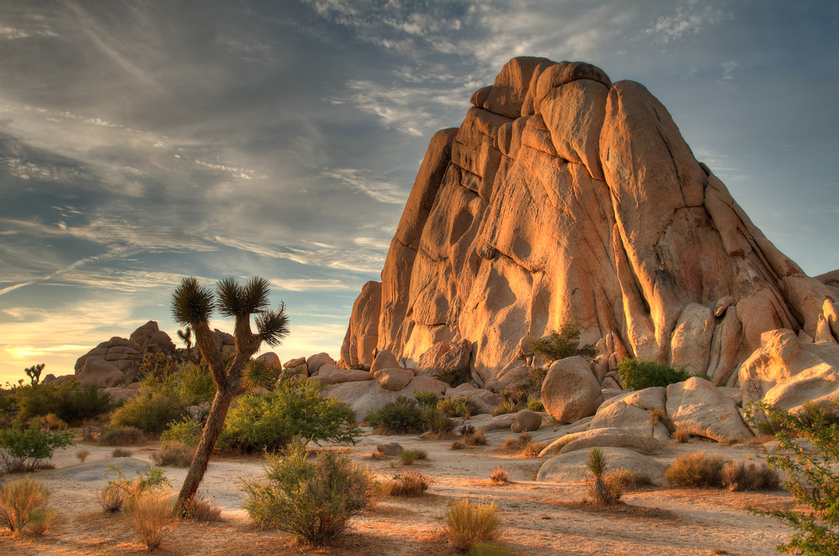 Joshua Tree National Park, USA