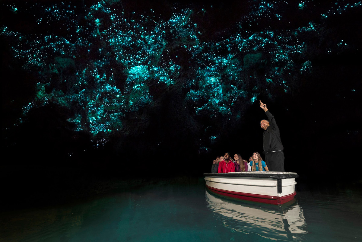 Waitomo Caves, New Zealand