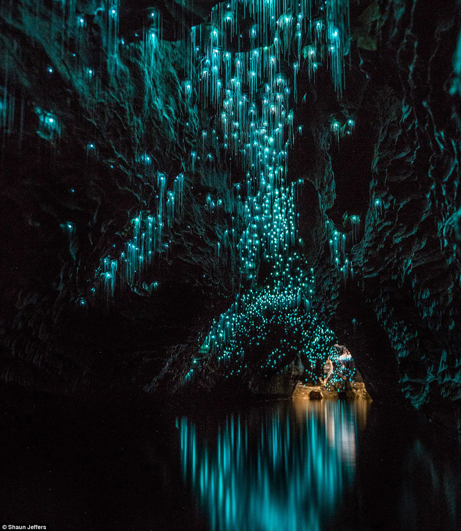 Waitomo Caves, New Zealand