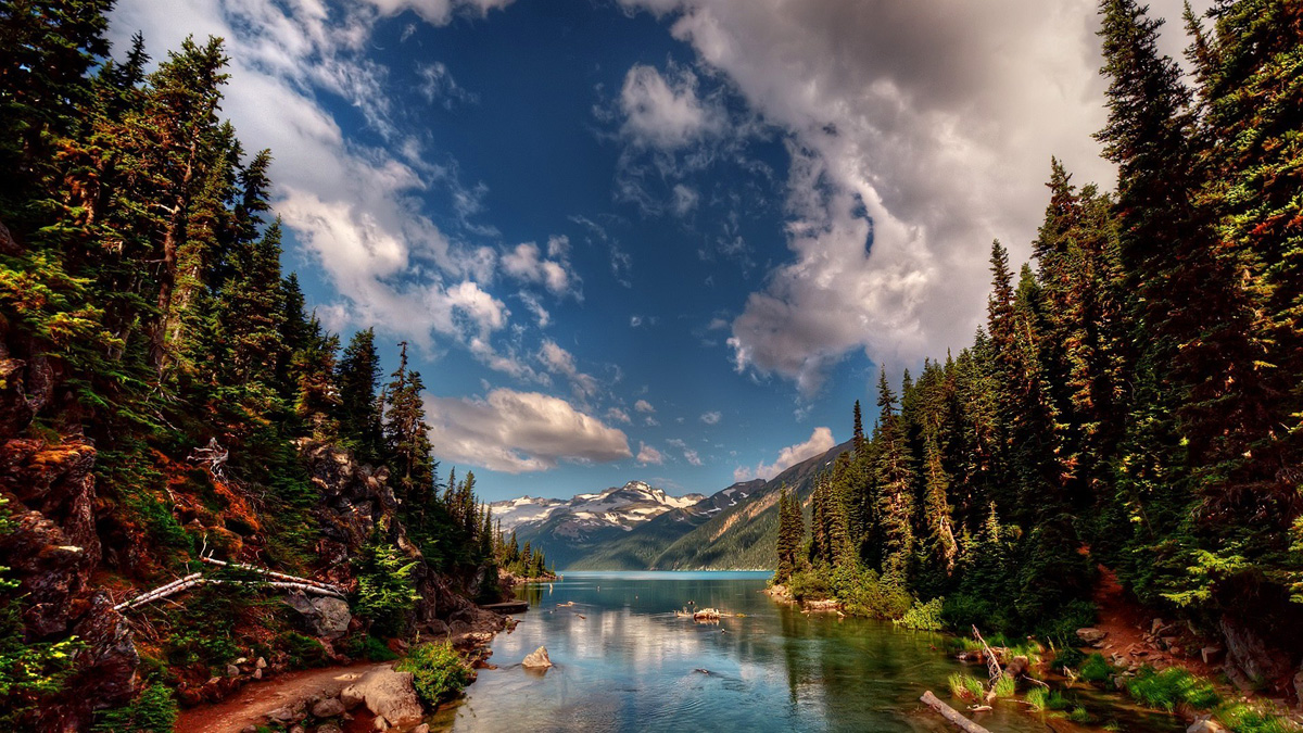 Yellowstone National Park, USA