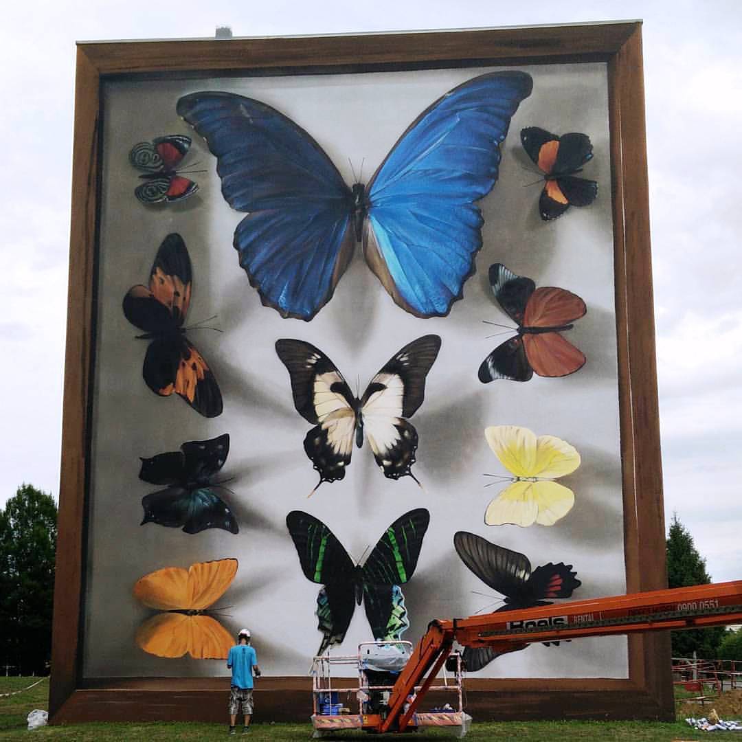 butterfly mural