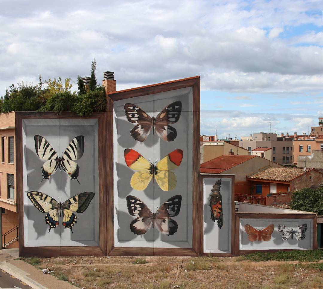 butterfly murals
