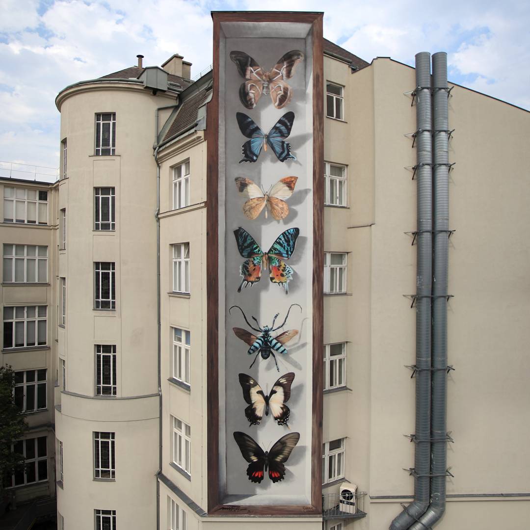 Butterfly Specimen Boxes in Series of Murals by Mantra