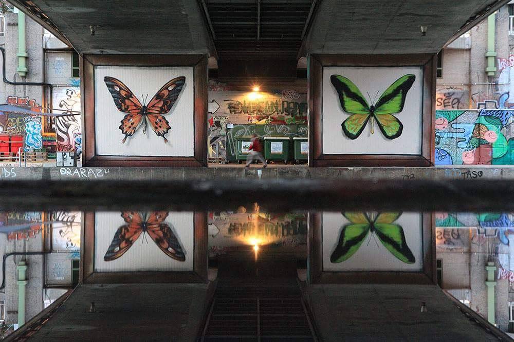murals