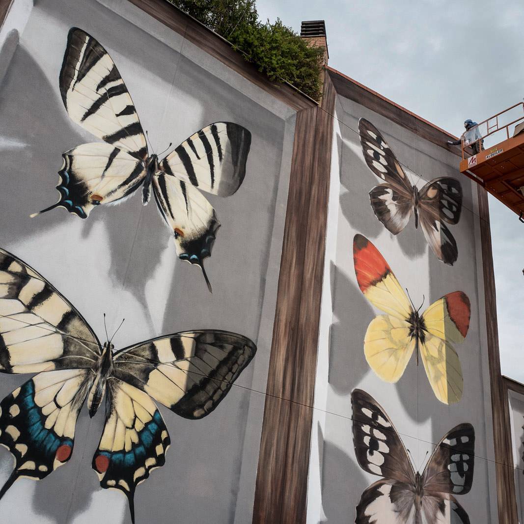 murals butterfly