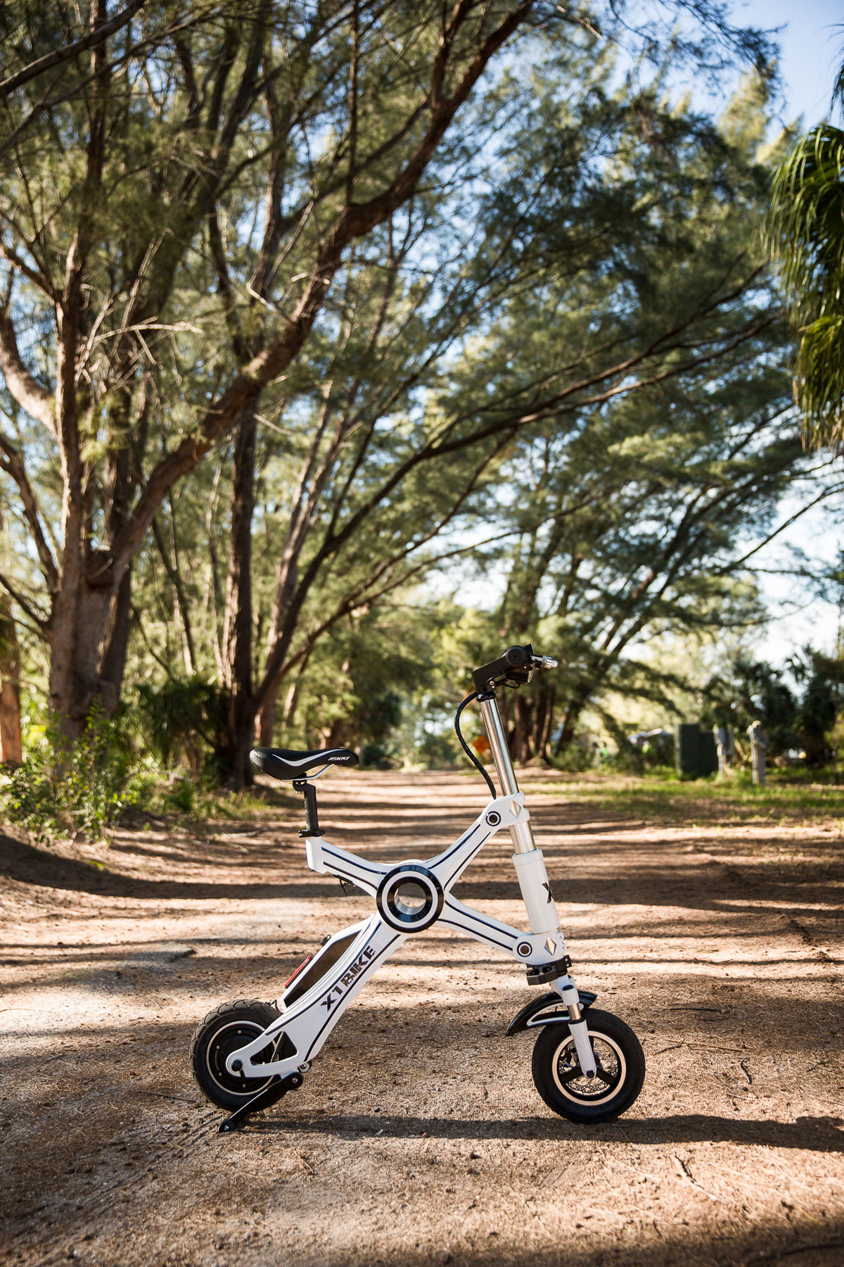 Folding and Compact E-bike X1 EXPLORER