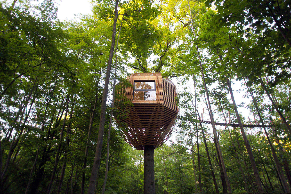 build a treehouse