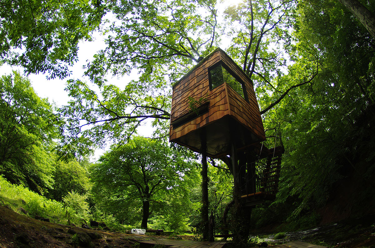pictures of treehouses