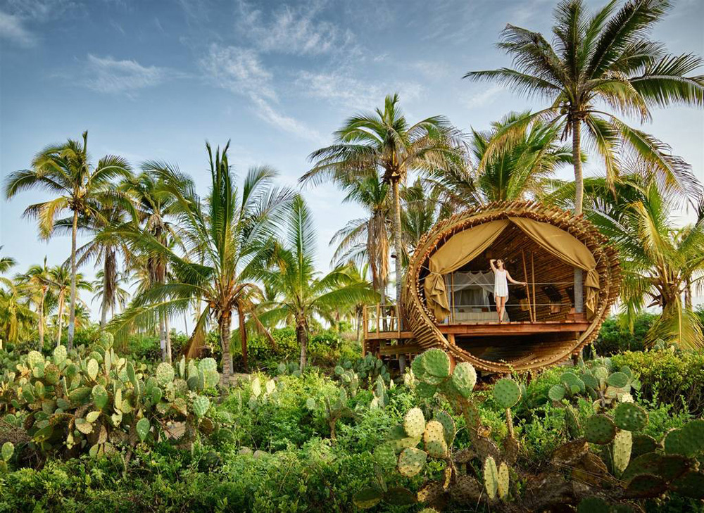 treehouse apartments