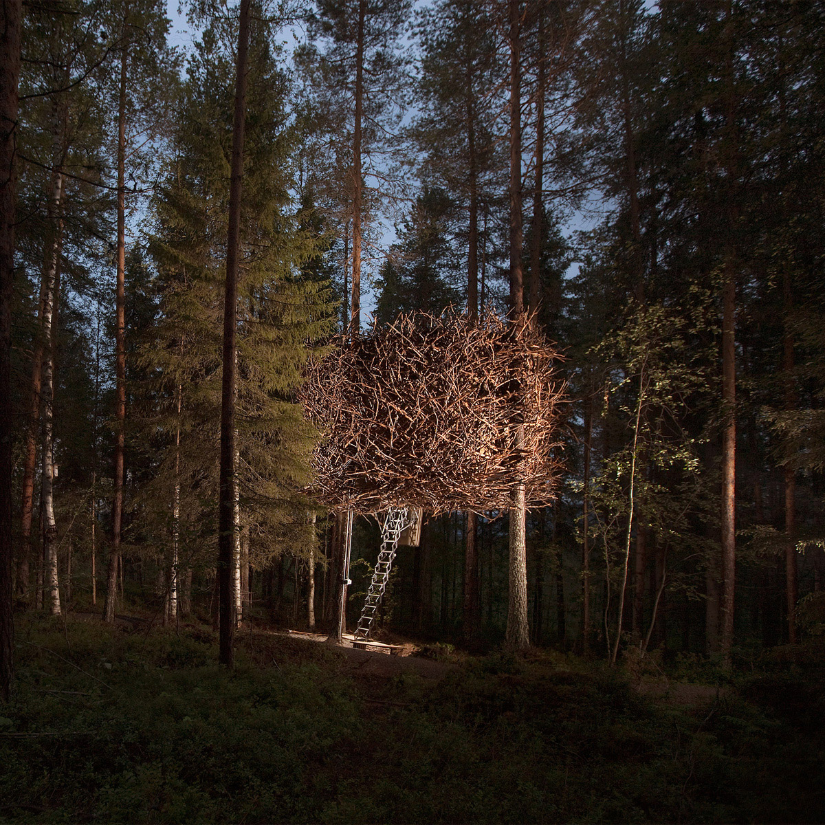 treehouse hotel