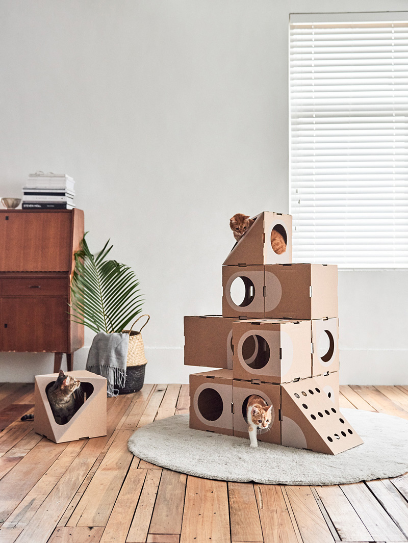 cat furniture