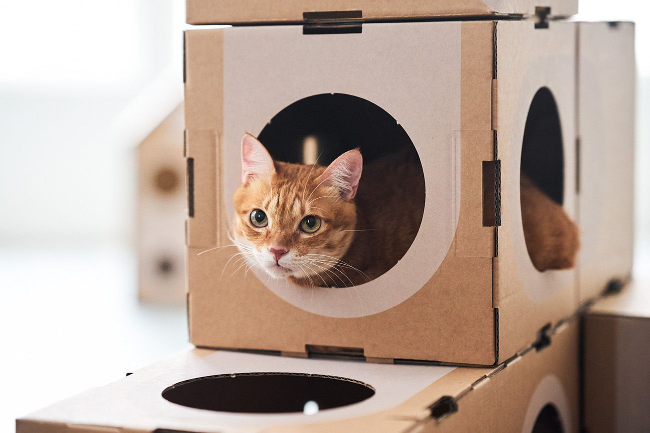cat furniture litter box