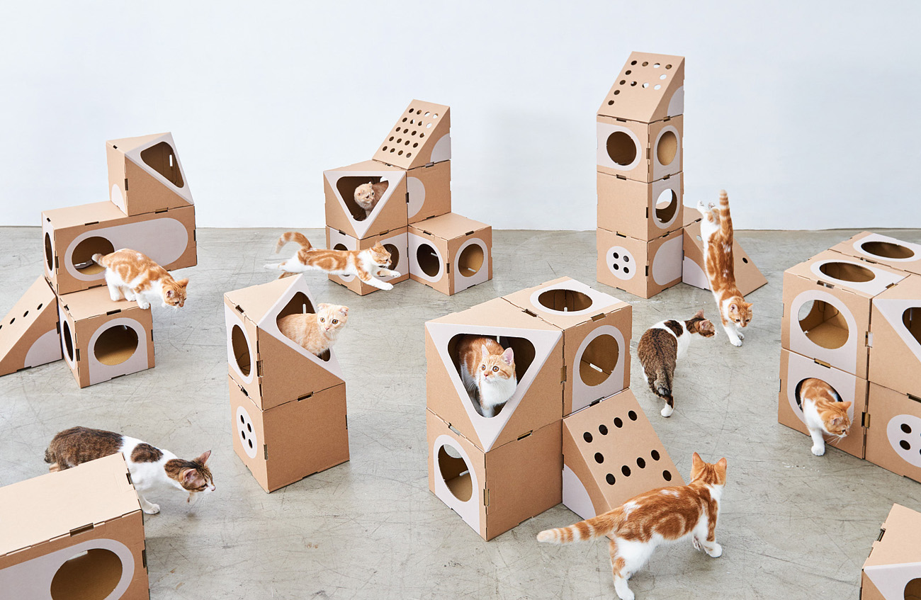 cat furnitures