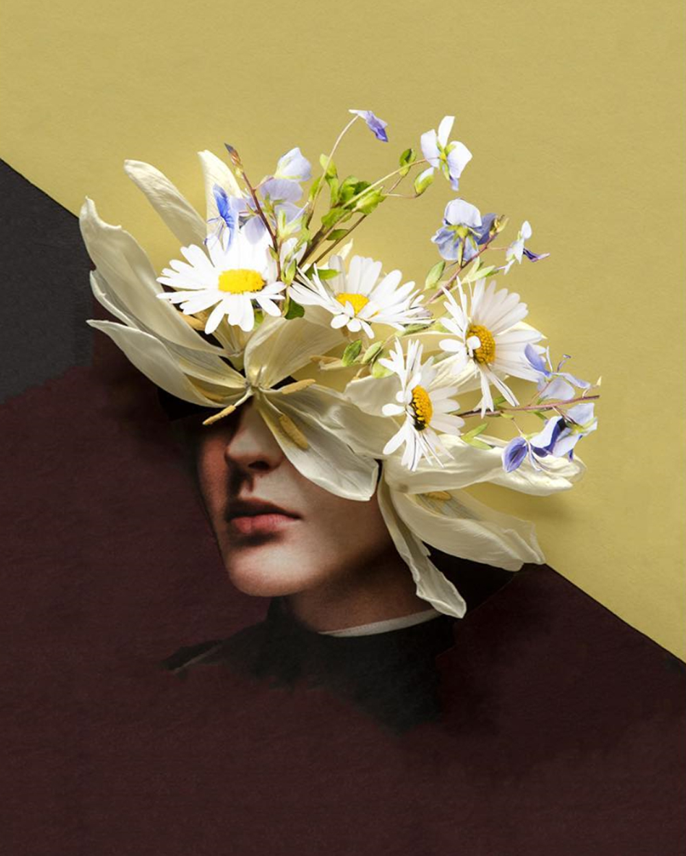 plant collage
