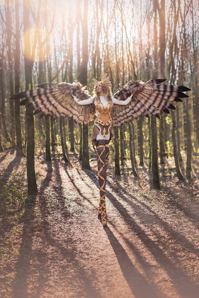 alexis noriega wings