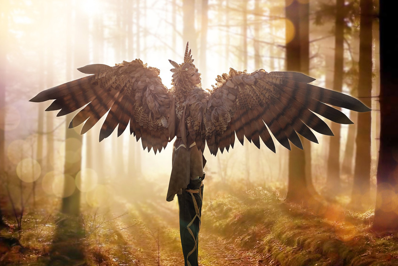 falcon wings cosplay