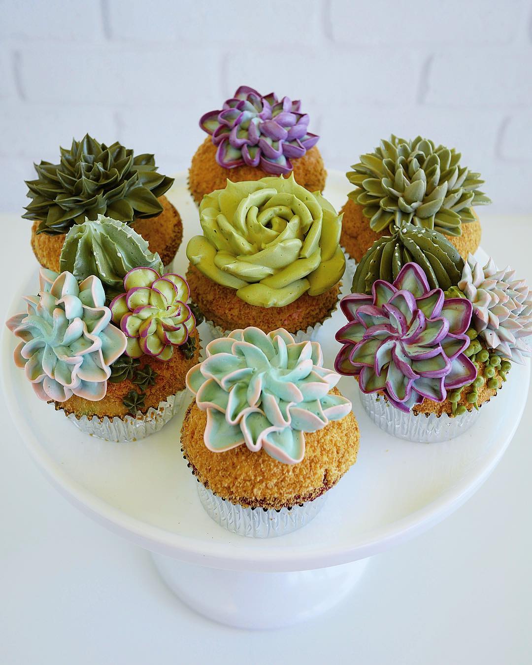 amazing succulent cakes