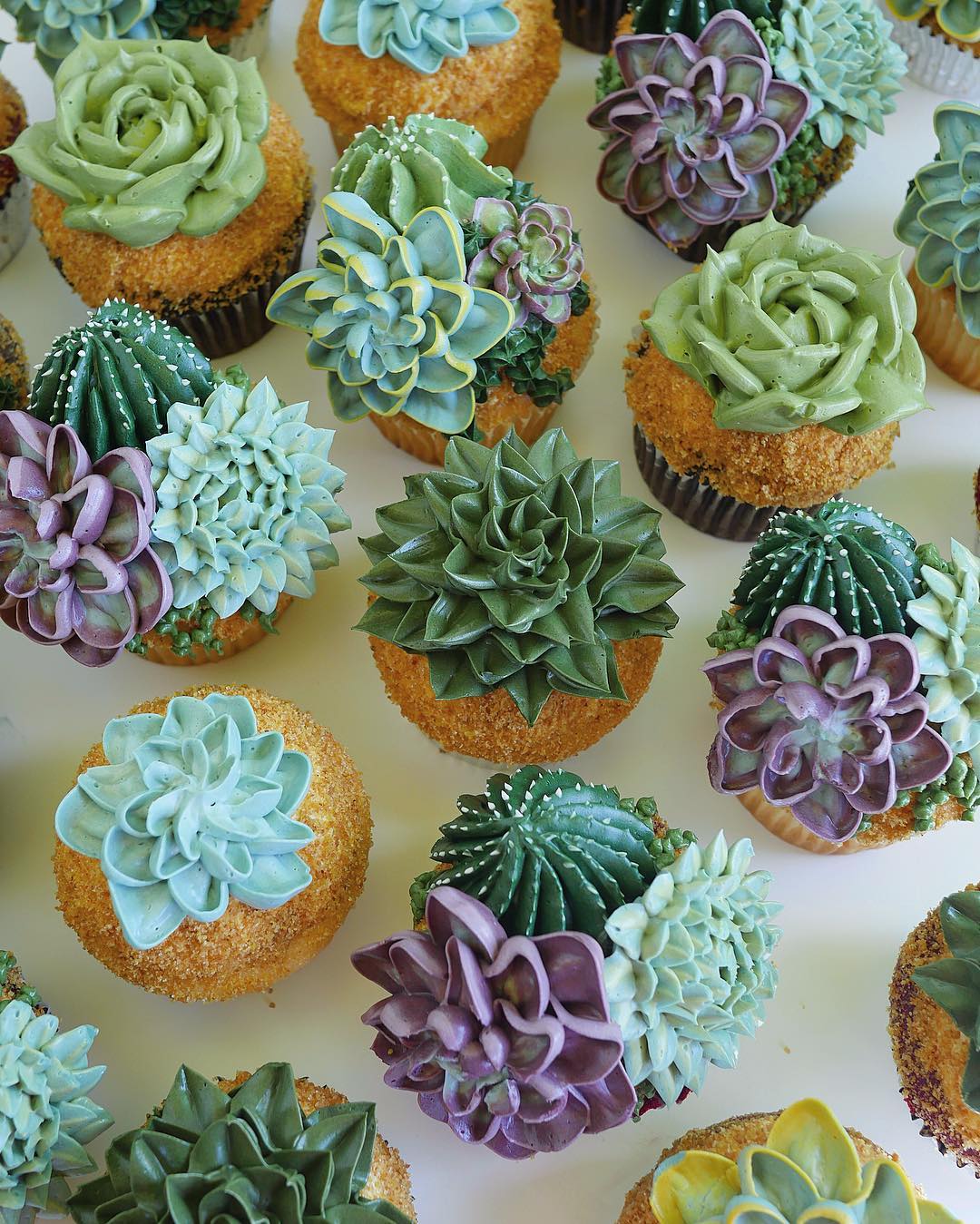 awesome succulent cakes