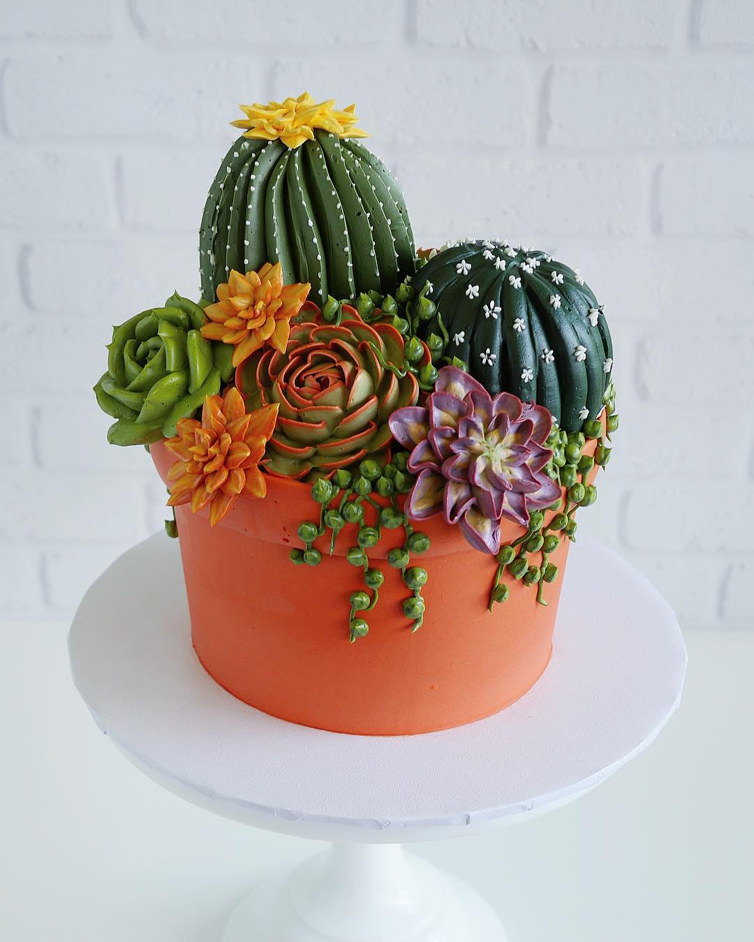 beautiful succulent cakes