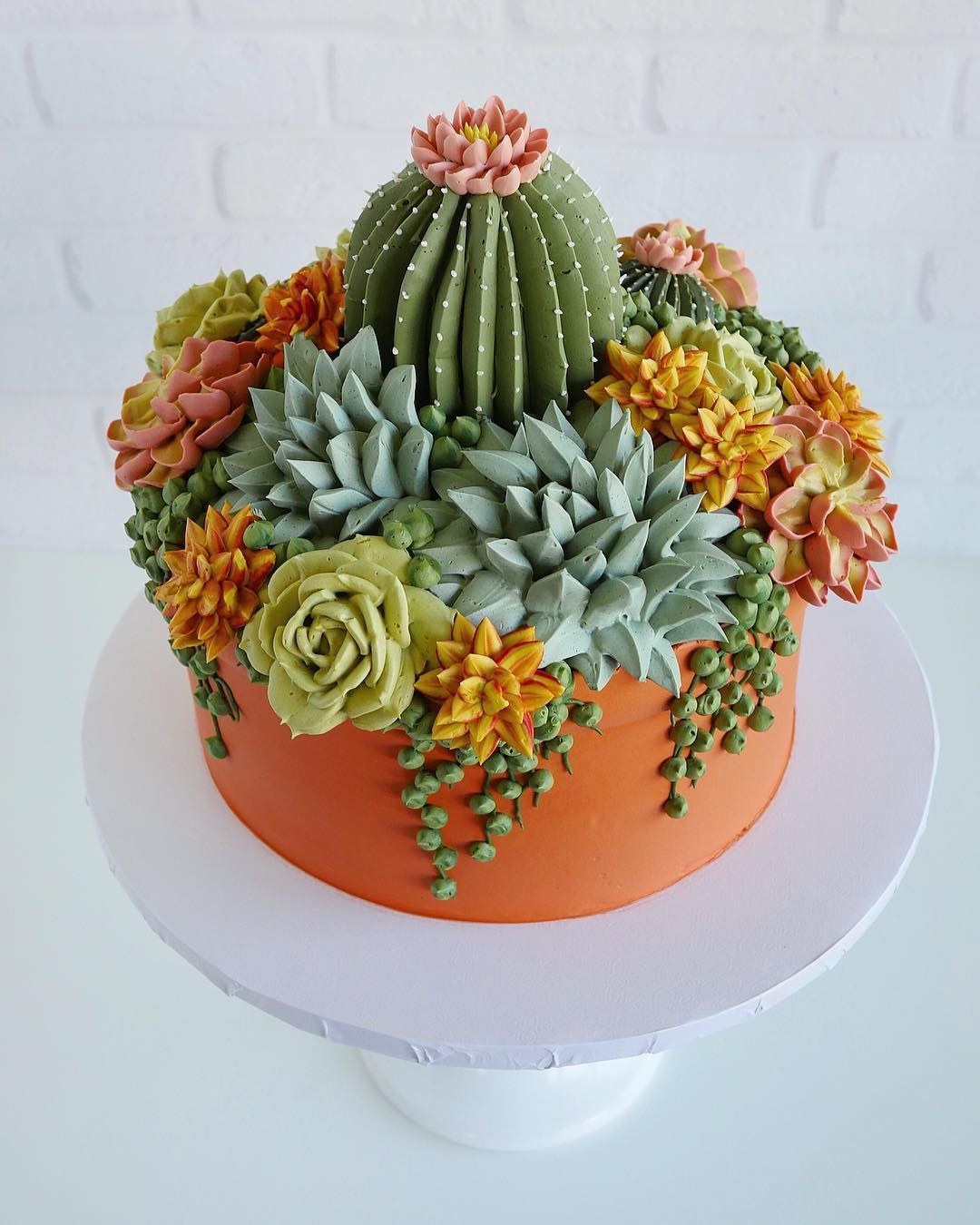succulent cake photos