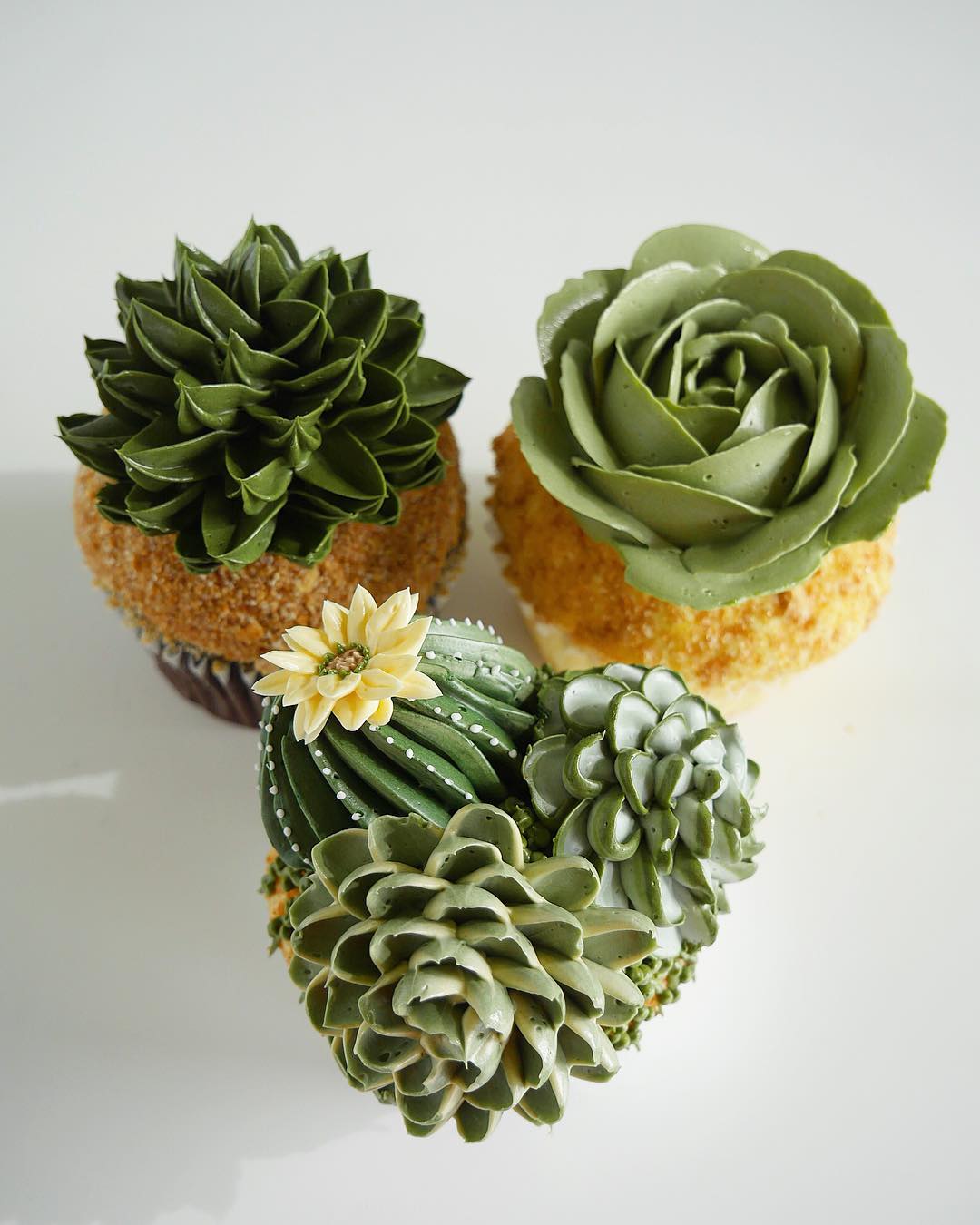 succulent cakes buttercream