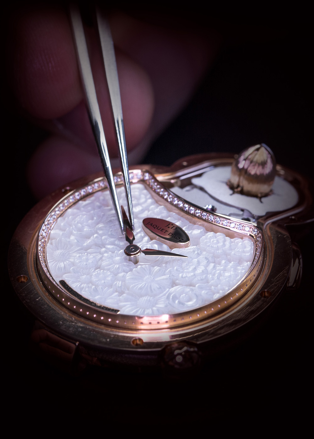 jaquet droz