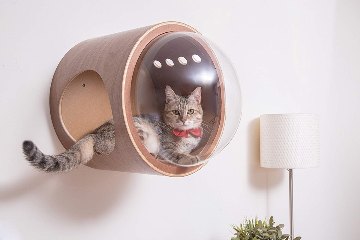 Luxury Cat Beds from MyZoo