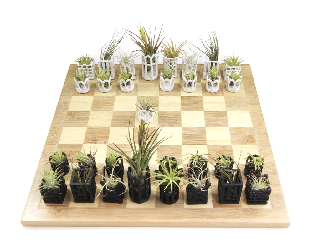 cool chess set