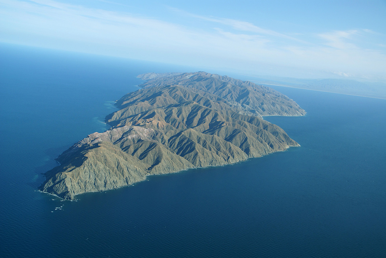 Cerralvo Island, Mexico