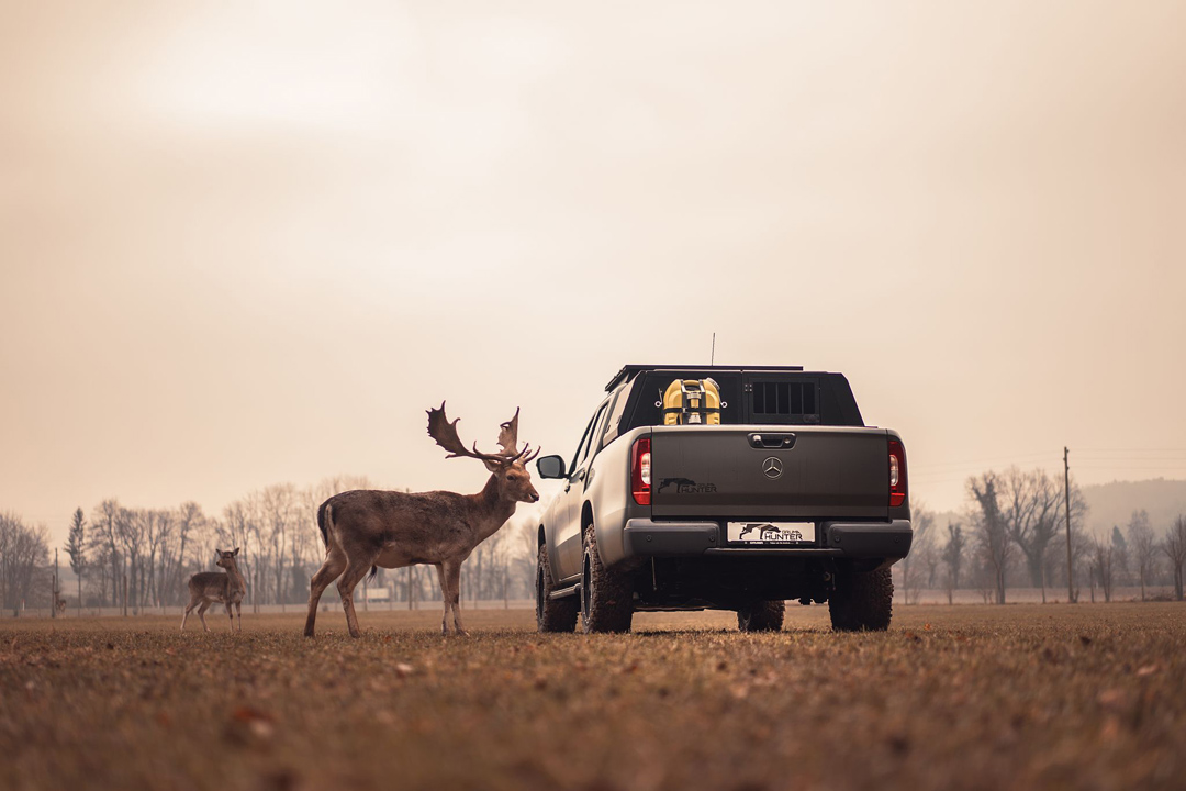 car for hunting