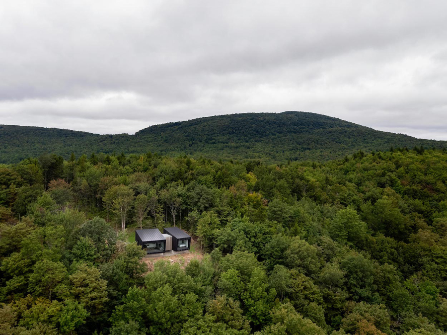 house in forest