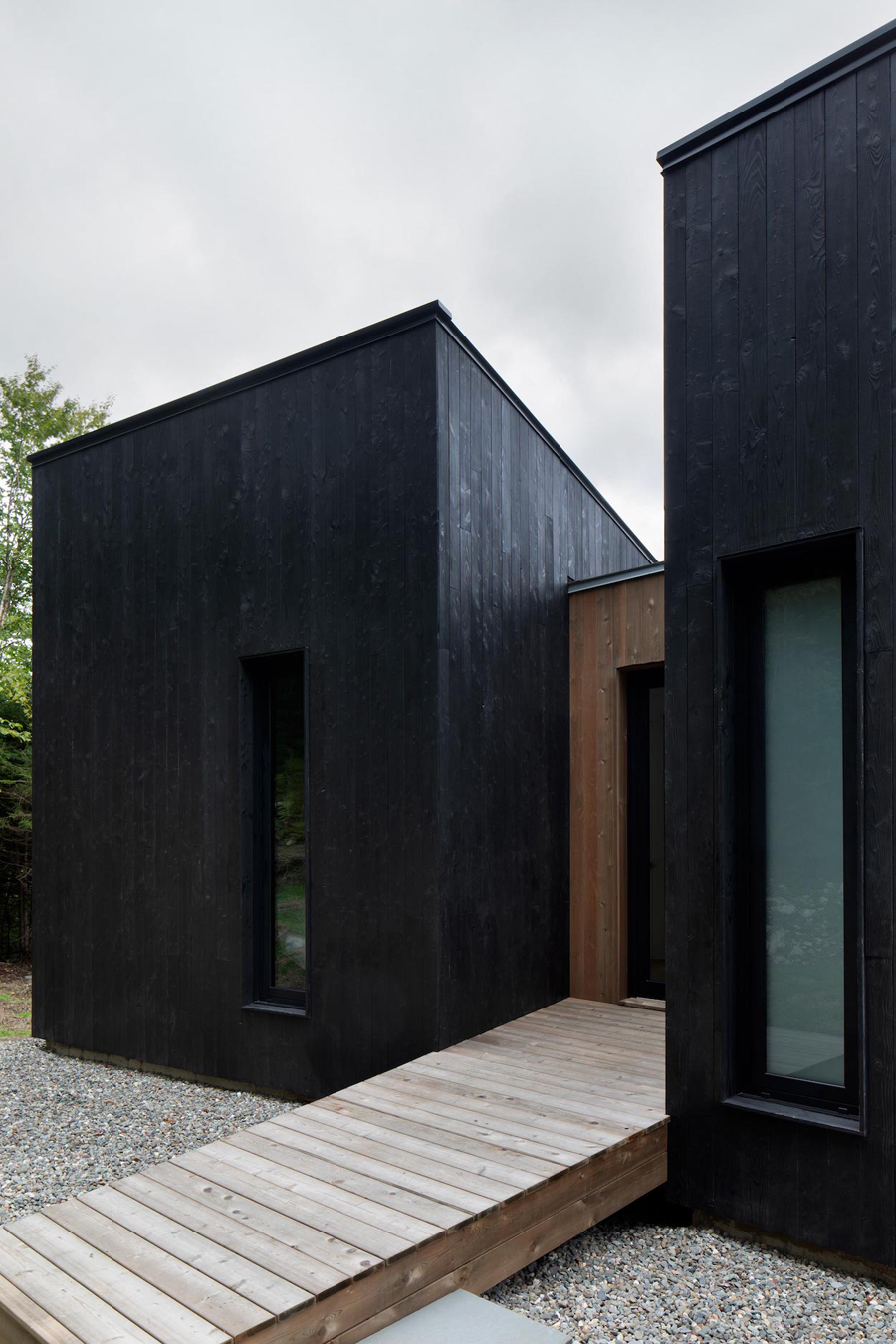 forest house