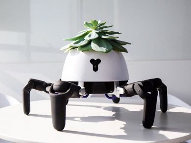 Awesome Robot Spider Chases The Sun To Look After Its Succulent