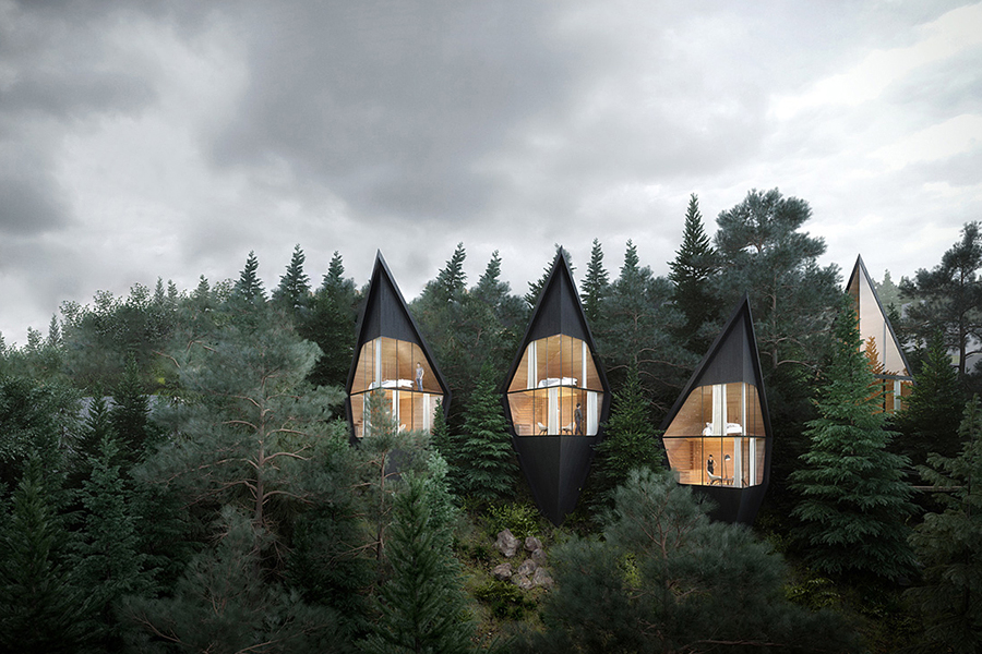tree house hotel in forest