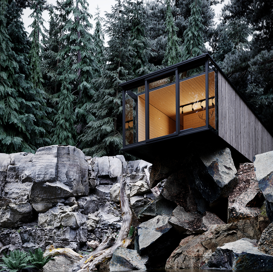 house in forest