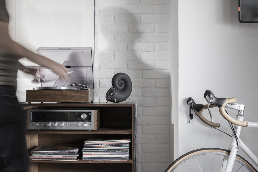 matte black speakers