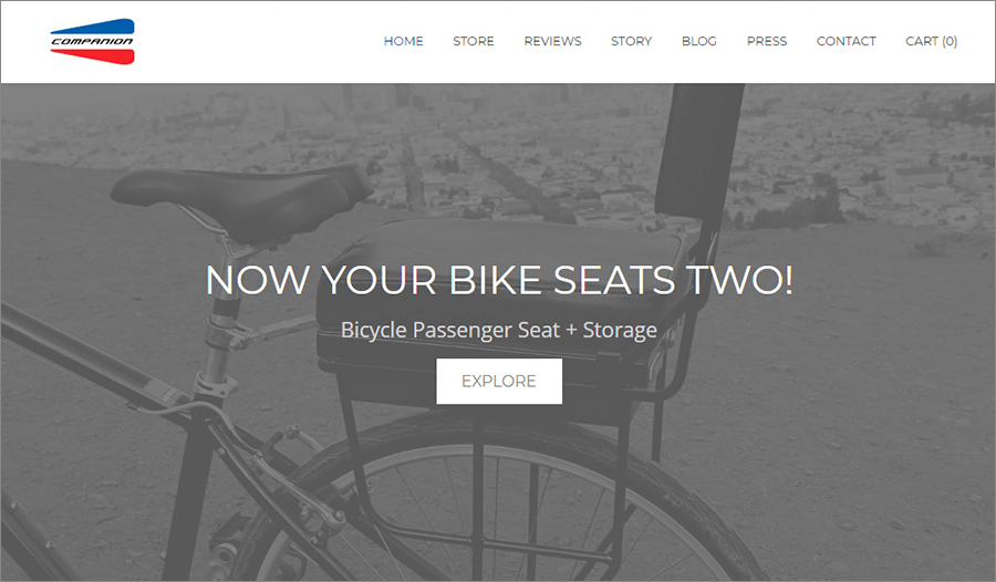 Companion Bike Seat