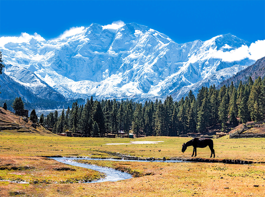 Nanga Parbat (8126 m) - Pakistan