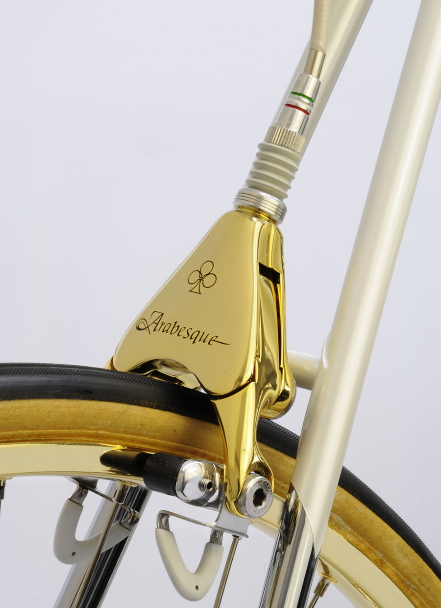 Haak Bike Colnago Arabseque Custom Made