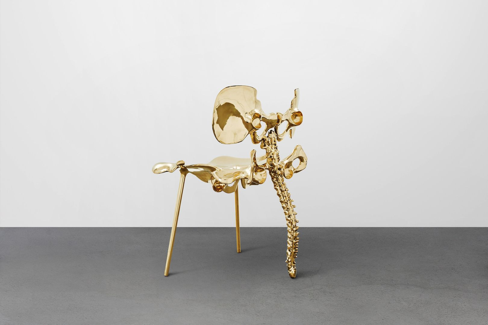 Impressive Furniture Inspired from Human Bones