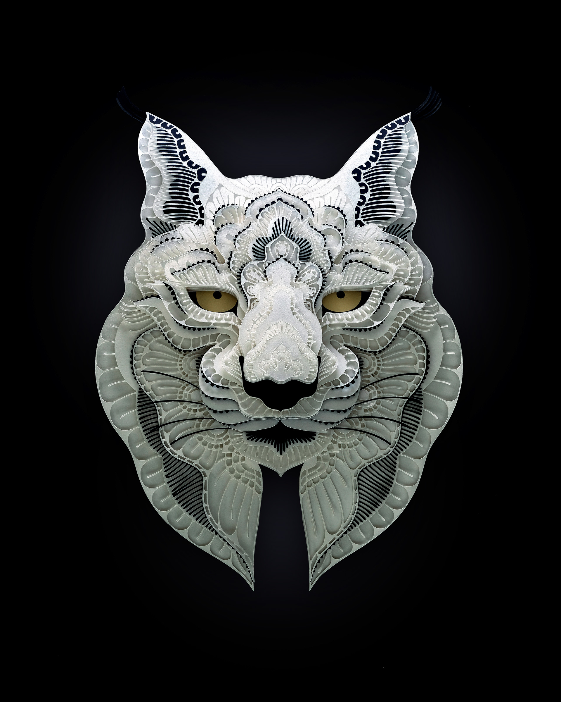 bobcat relief paper sculpture