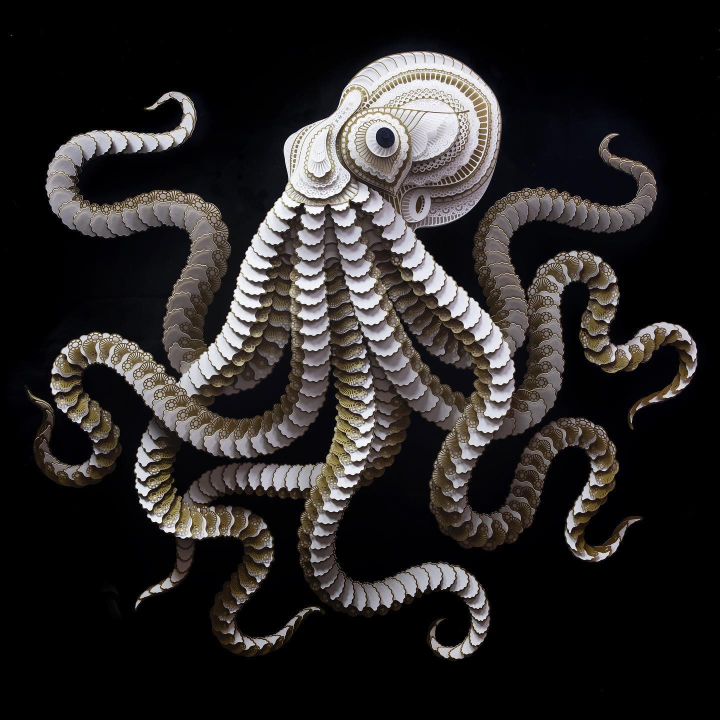 octopus relief paper sculpture
